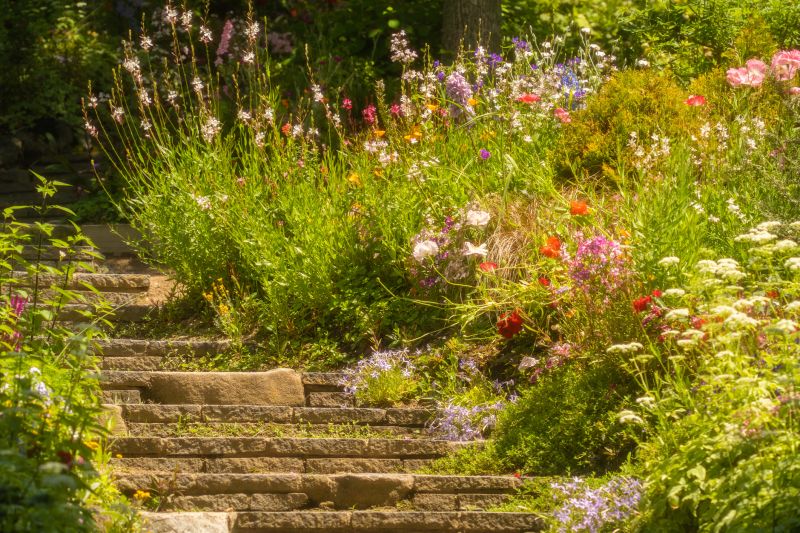 Path Expansion