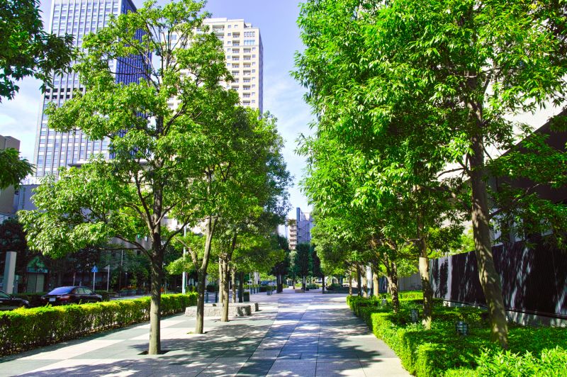 Community Impact of Timing